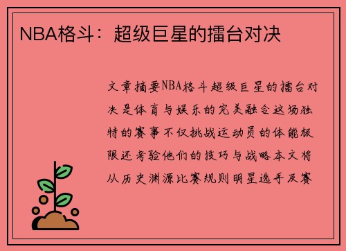 NBA格斗：超级巨星的擂台对决