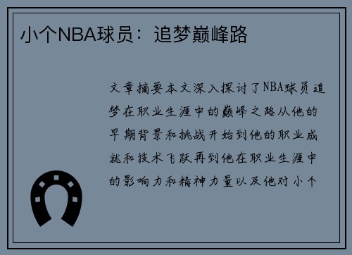 小个NBA球员：追梦巅峰路